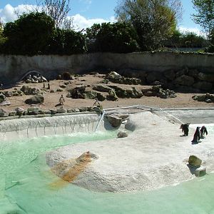 Penguin Pool at Newquay Zoo 11/04/09
