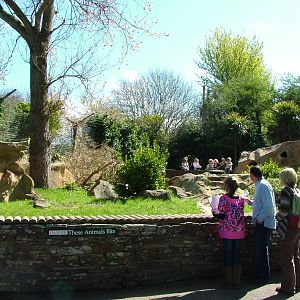 New Meerkat enclosure at Newquay Zoo 11/04/09