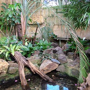 Tropical House at Newquay Zoo 11/04/09
