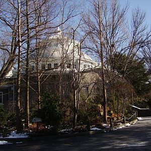 Reptile House
