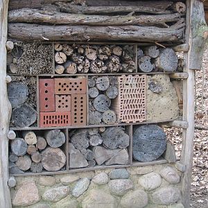 Schwerin Zoo -April 2006