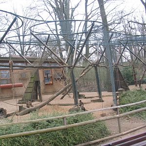 Schwerin zoo - April 2006