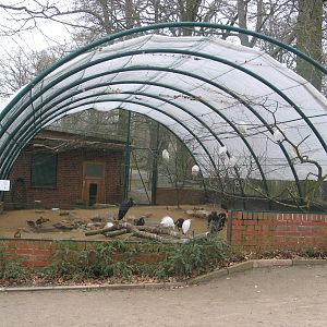 Schwerin zoo - April 2006