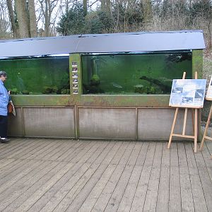 Schwerin Zoo - April 2006