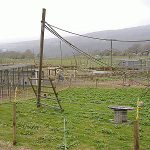 Gibbon Enclosures Cefn-yr-Erw