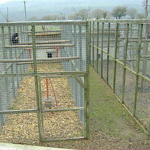 Gibbon Cages Cefn-yr-Erw