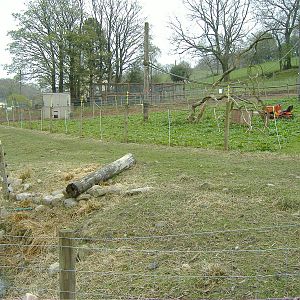 Gibbon Enclosure Cefn-yr-Erw