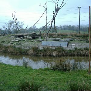 Baboon Island Cefn-yr-Erw