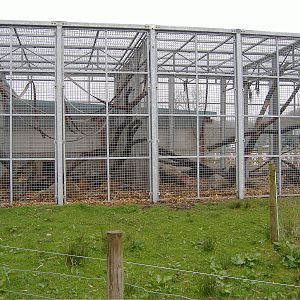 Baboon Cages Cefn-yr-Erw