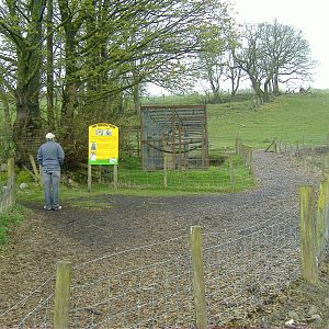 Lemurs and Capuchins Cefn-yr-Erw