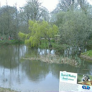 Marmoset and Squirrel Monkey Islands Manor House