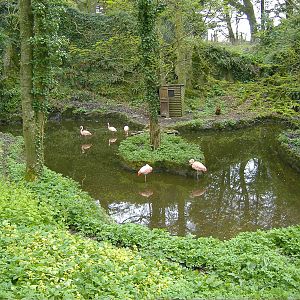 Flamingos Manor House