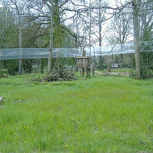 Lemur Walkthrough Manor House