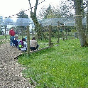 Lemur Walkthrough Manor House