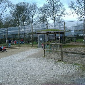 Lemur Walkthrough Manor House