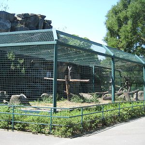 Snowleopard Exhibit at the Berlin Tierpark