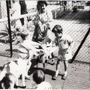 Dudley Zoo c1964