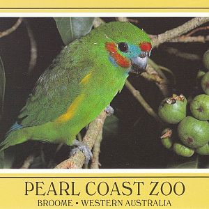 Pearl Coast Zoo - historical memorabilia