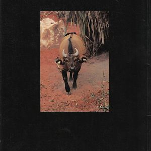 Pearl Coast Zoo - historical memorabilia