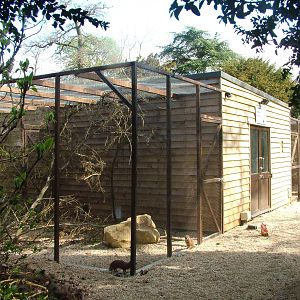 Offshow Mammal Centre at Cotswold WP 13/04/09