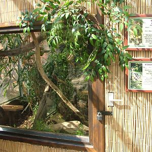 Cuscus and Possum exhibit at Cotswold WP 13/04/09