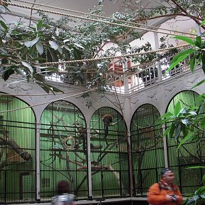 Inside the old Primate house