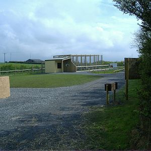Ocelot Enclosure Folly Farm