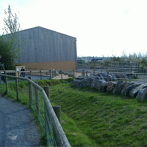 New Giraffe House and yard Folly Farm