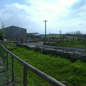 New Giraffe House and Paddock Folly Farm