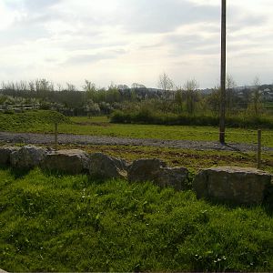 Giraffe and Zebra Paddock Folly Farm
