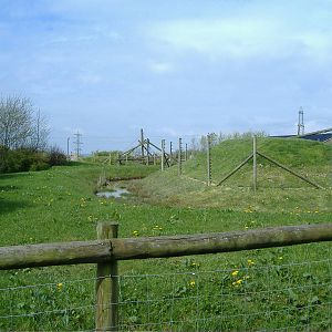 Black and White Ruffed Lemurs Folly Farm