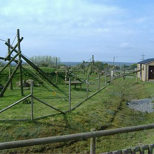 Black and White Ruffed Lemurs Folly Farm
