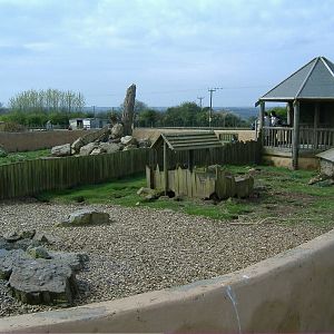 Praire Dogs and Porcupine Folly Farm