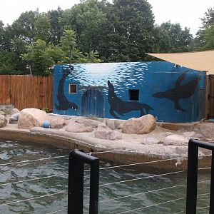 Sea Lion enclosure