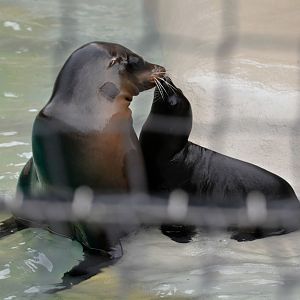 Arie and her son Taylor