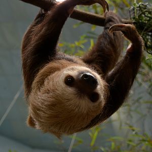 Raisin checking out my camera