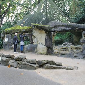 Enclosure Pallas cat