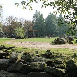 Bactrian camel-enclosure