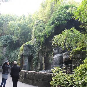 Front-side Elephant-house