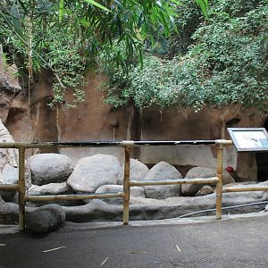 Indian rhino indoor-enclosure