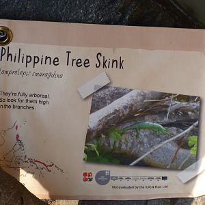 Philipene Tree Skink Signage