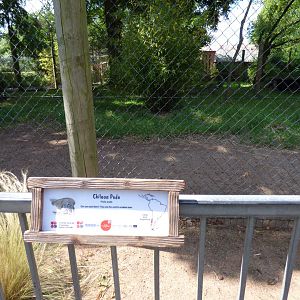 Former Serval and Cheetah enclosure now holding Pudu