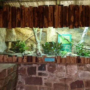 Former Parsons' Chameleon Enclosure