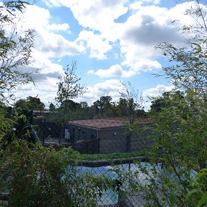 New Islands Construction Work