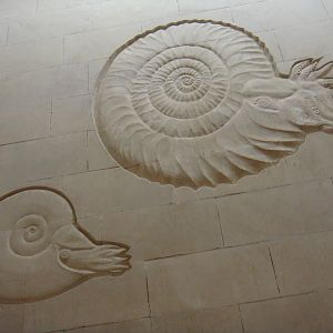 Decorations on the wall