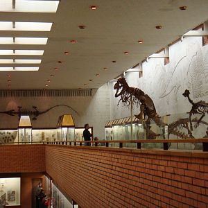 Mesozoic hall