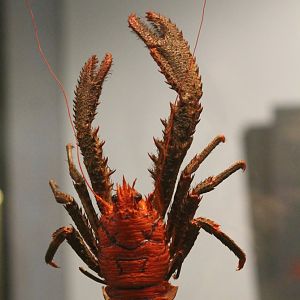 Crustacean