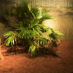 Jul. 2017 - Manatee Springs - Burmese Python Exhibit (New to the Building)