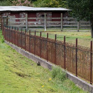 Alan's Fence - 26/07/2017