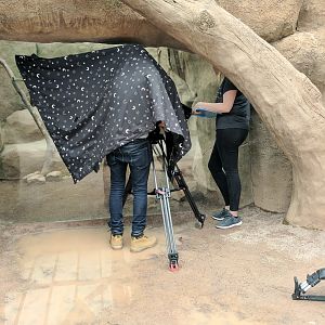 Blast! Films - 26/07/2017